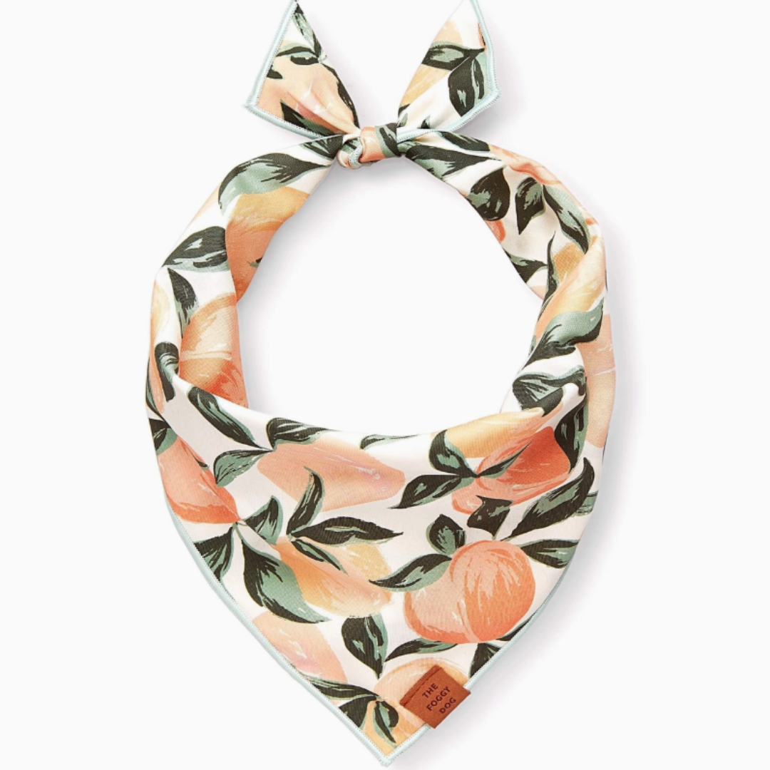Peaches Bandana | The Foggy Dog - Babelle