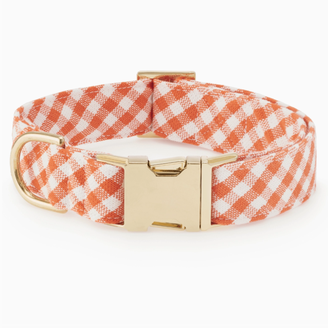 Cider Gingham Collar | The Foggy Dog - Babelle
