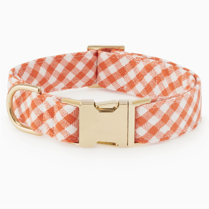 Cider Gingham Collar | The Foggy Dog - Babelle