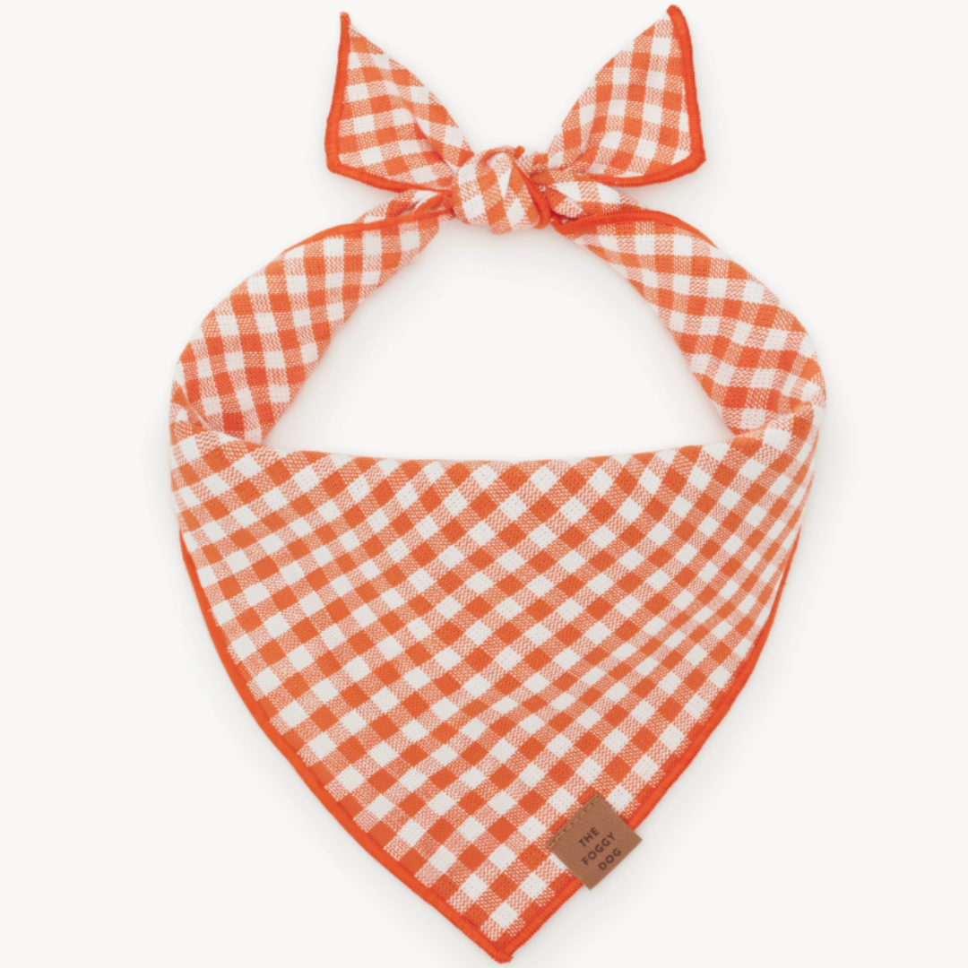 Cider Gingham Bandana | The Foggy Dog - Babelle