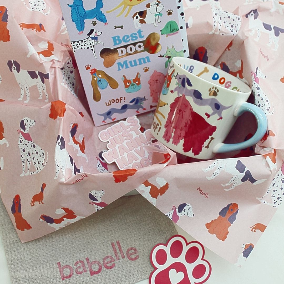 🌈  The Colourful Dogmom Box - Babelle