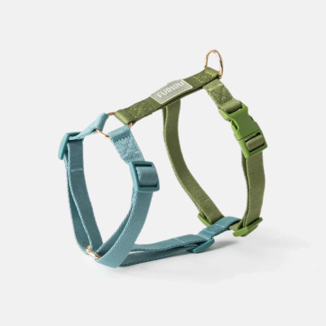 Lake Day Harness| Furlou - Babelle