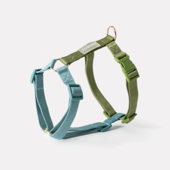 Lake Day Harness| Furlou - Babelle