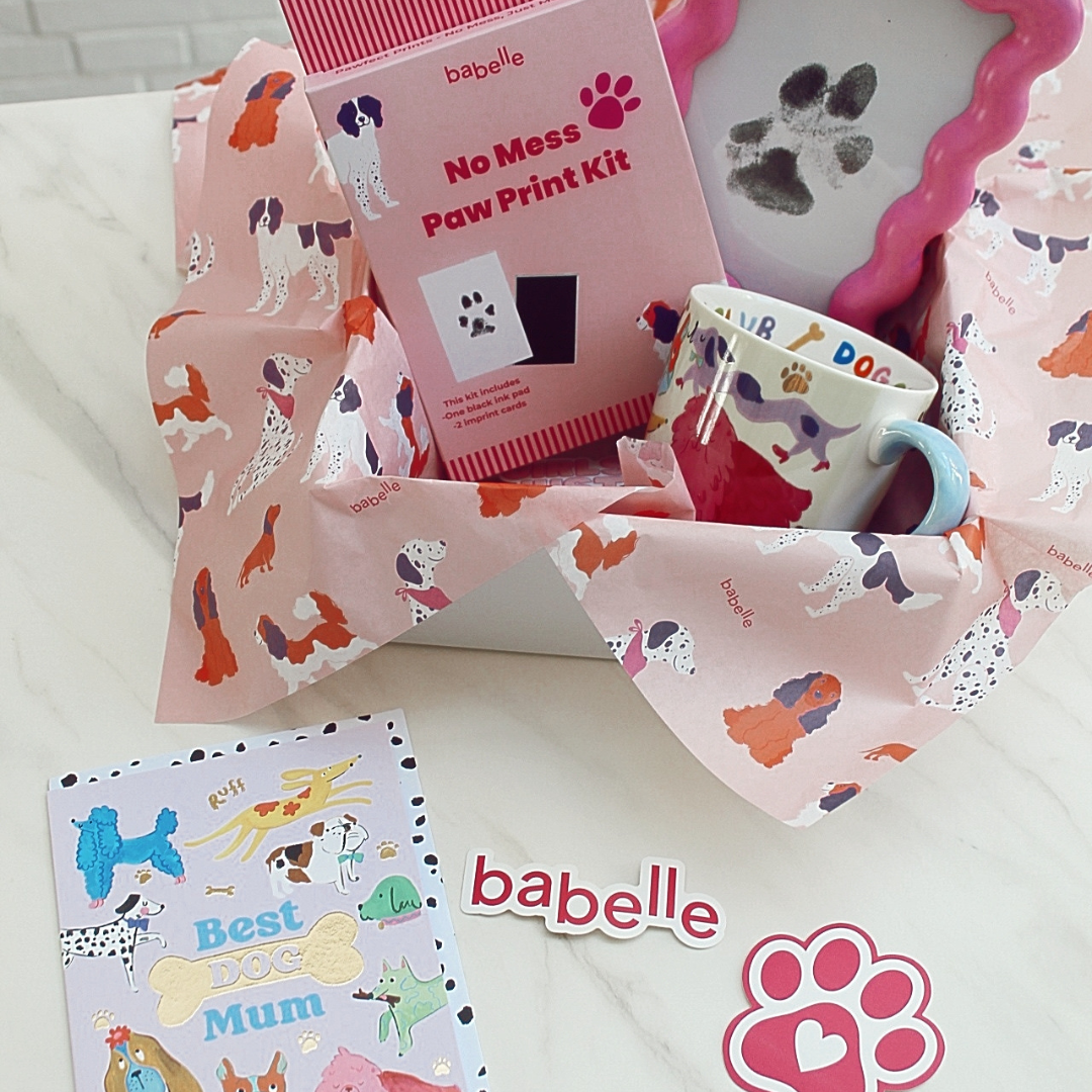 🌈 The Colourful Dogmom Box Deluxe - Babelle
