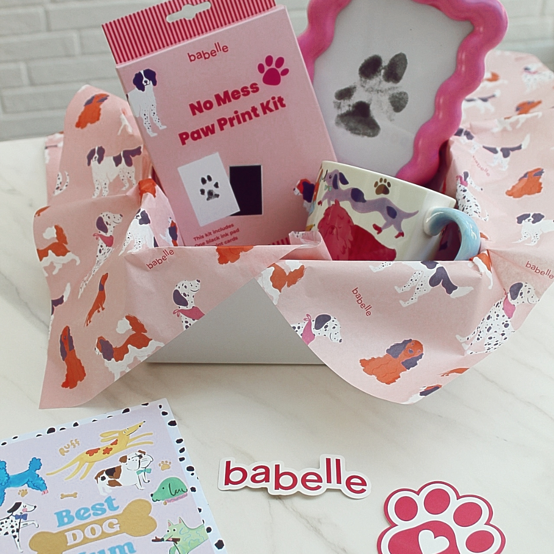 🌈 The Colourful Dogmom Box Deluxe - Babelle