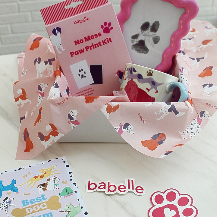 🌈 The Colourful Dogmom Box Deluxe - Babelle