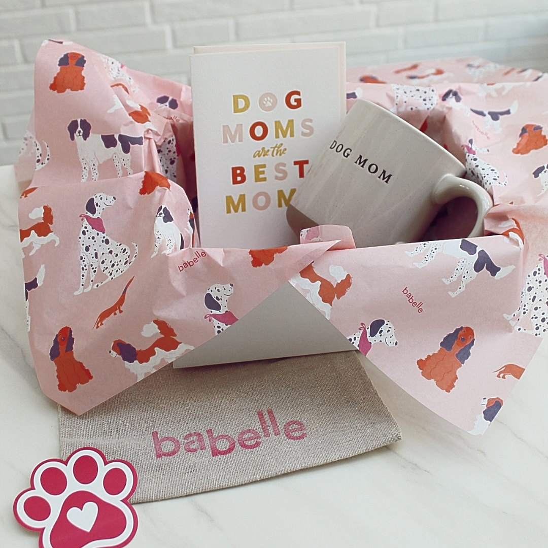 🤎 The Aesthetic Dogmom Box - Babelle