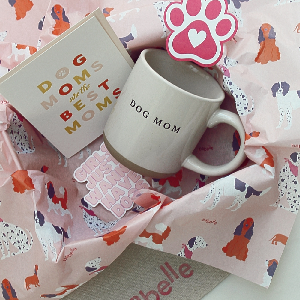 🤎 The Aesthetic Dogmom Box - Babelle