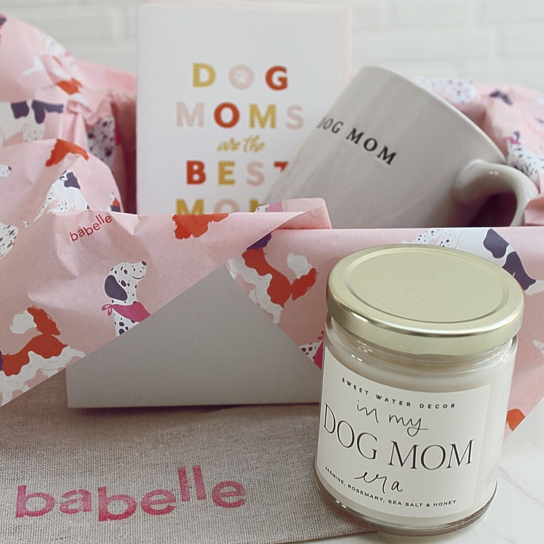 🤎 The Aesthetic Dogmom Box – Deluxe Edition - Babelle