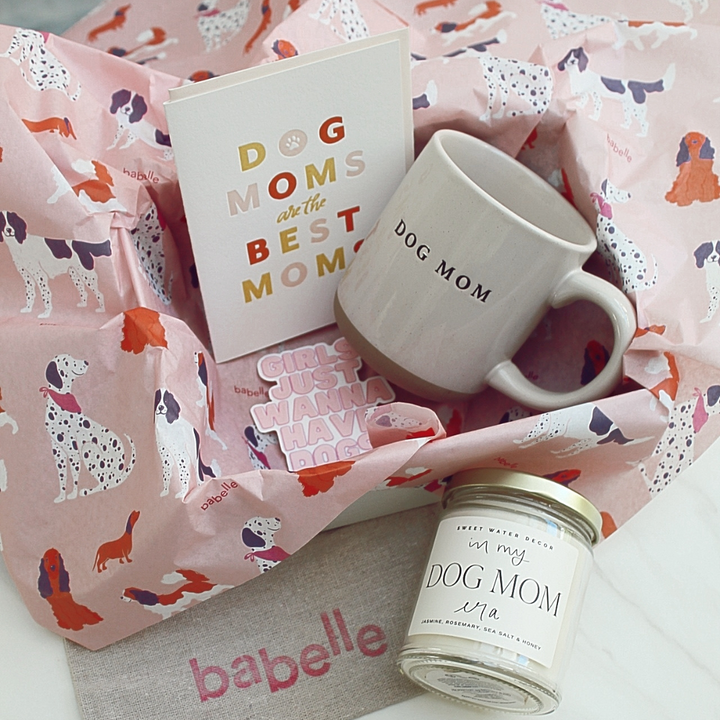 🤎 The Aesthetic Dogmom Box – Deluxe Edition - Babelle