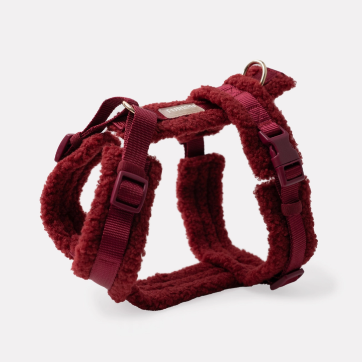 Bordeaux Sherpa Harness | Furlou - Babelle