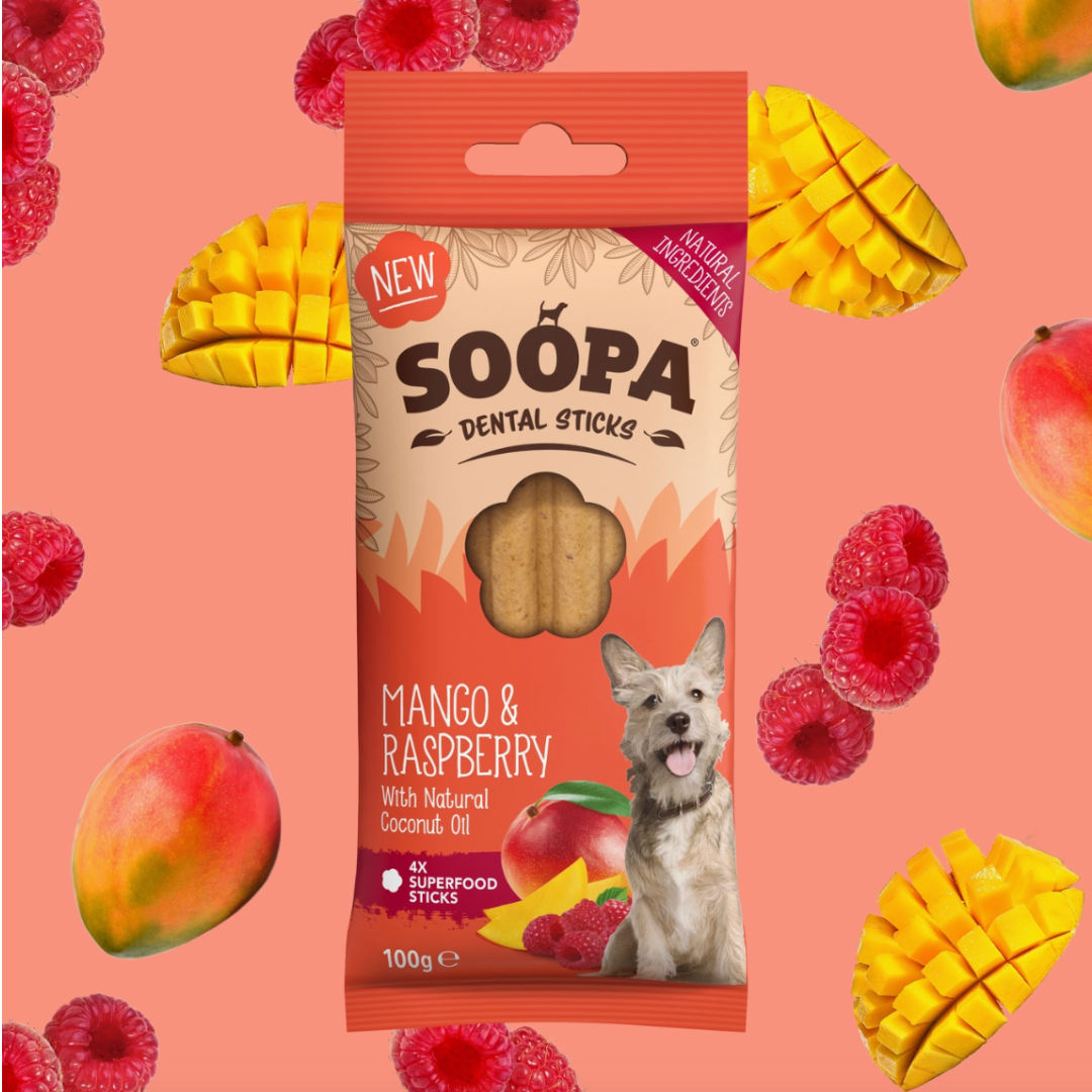 Dental Sticks  - Mango & Raspberry | Soopa - Babelle