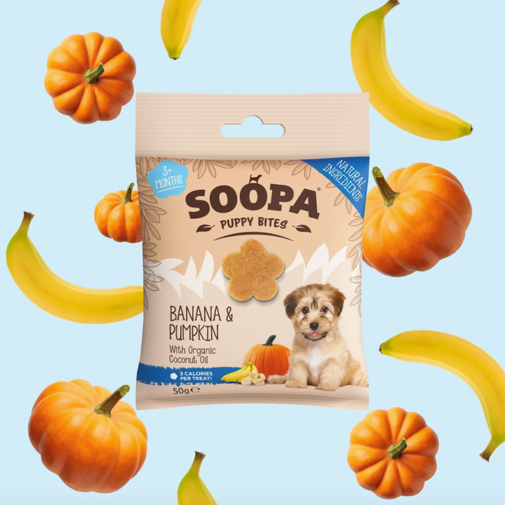 Banaan & Pompoen Mini Bites | Soopa
