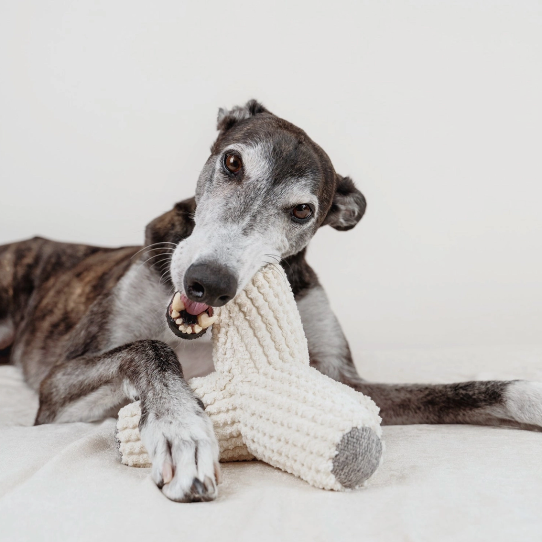 Breuer Dog Toy | Lambwolf - Babelle