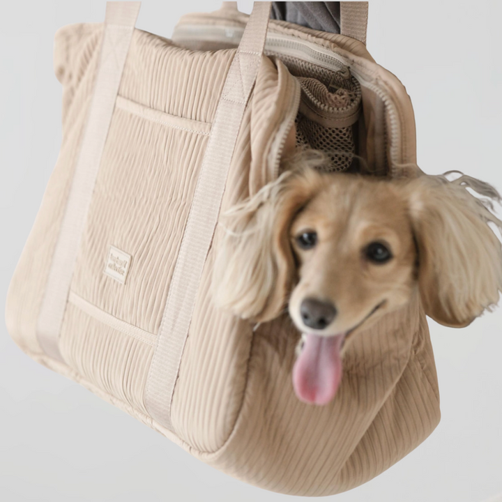 City Pet Carrier | Lambwolf