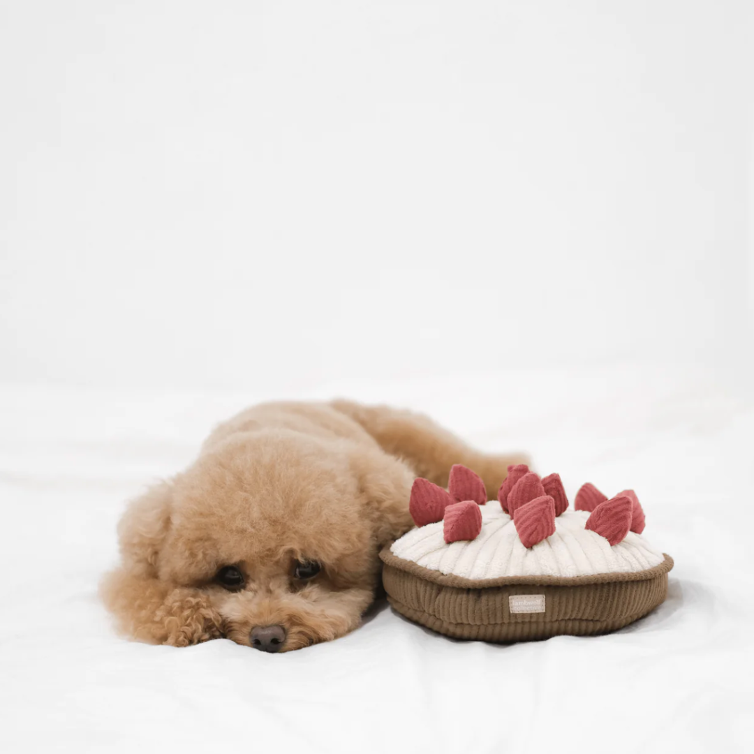 Berry Pie | Lambwolf - Babelle