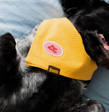 Load image in Gallery view, Fur baby patch | Scout&#39;s Honour - Babelle
