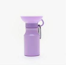 Load image in Gallery view, Small Waterbottle  | Springer - Babelle
