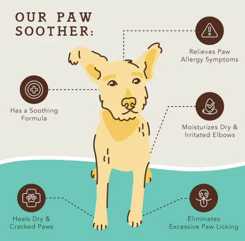 Paw soother | Natural dog company - Babelle