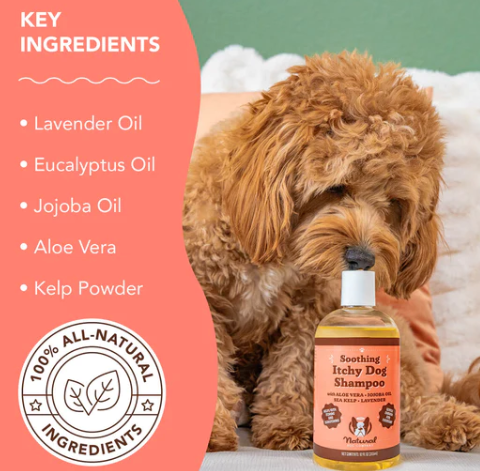 Itchy Dog Shampoo | Natural dog company - Babelle