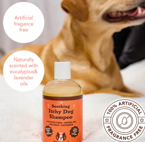 Itchy Dog Shampoo | Natural dog company - Babelle