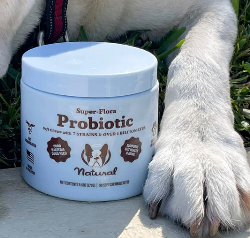 Super Flora Probiotic Supplement | Natural dog company - Babelle