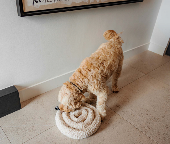 Swirl - Merengue | District 70 - Babelle