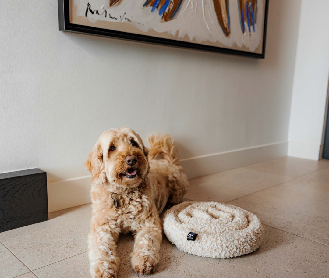 Swirl - Merengue | District 70 - Babelle