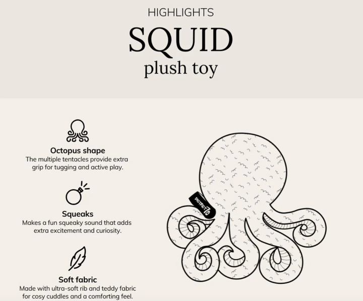 Squid - Merengue | District 70 - Babelle