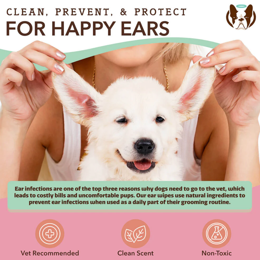 Ear Wipes | Natural dog company - Babelle