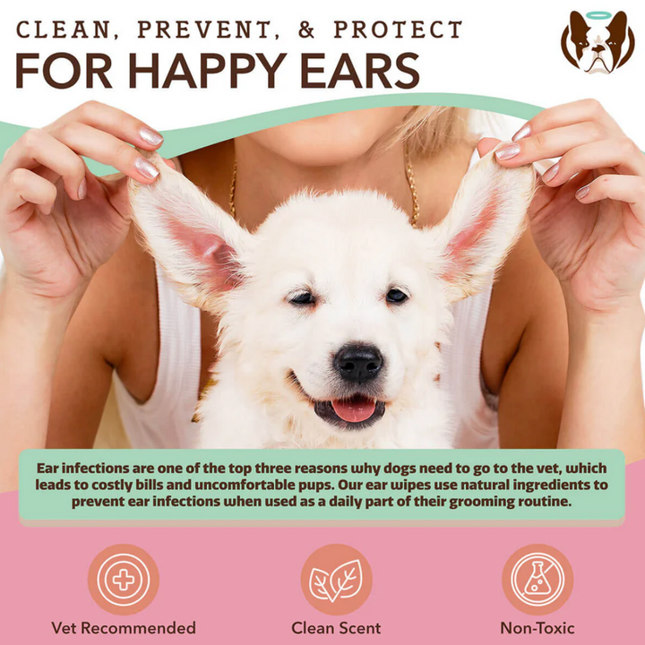 Ear Wipes | Natural dog company - Babelle