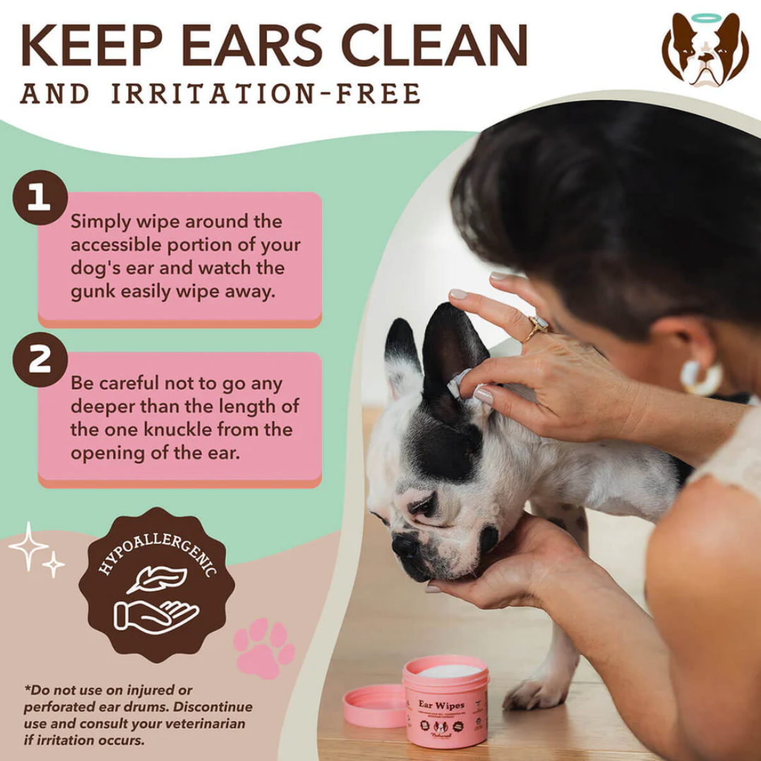 Ear Wipes | Natural dog company - Babelle