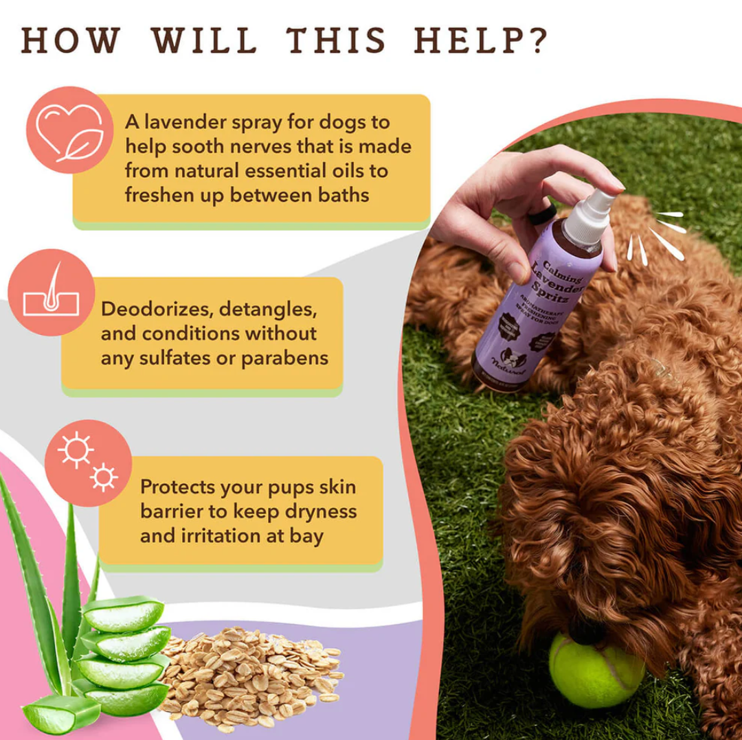 Calming Lavender Spritz | Natural dog company - Babelle
