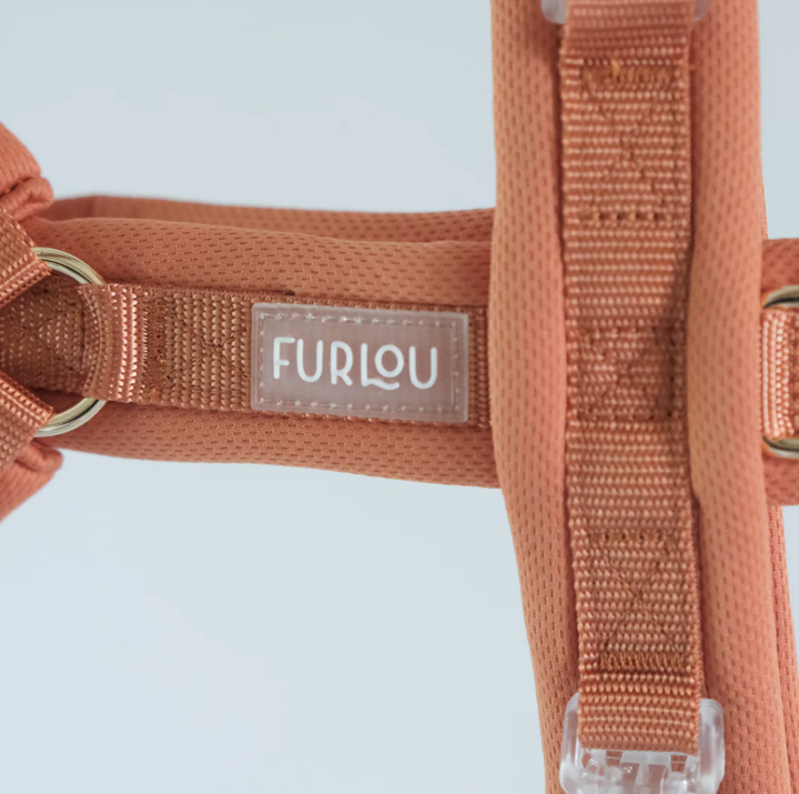 Terracotta Comfort Harness| Furlou