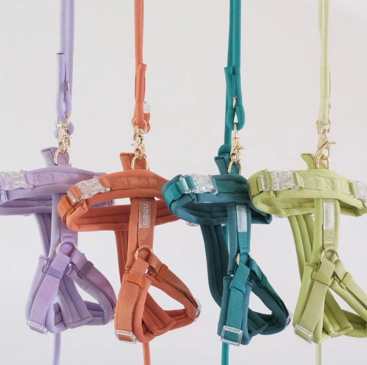 Lavender Comfort Harness| Furlou