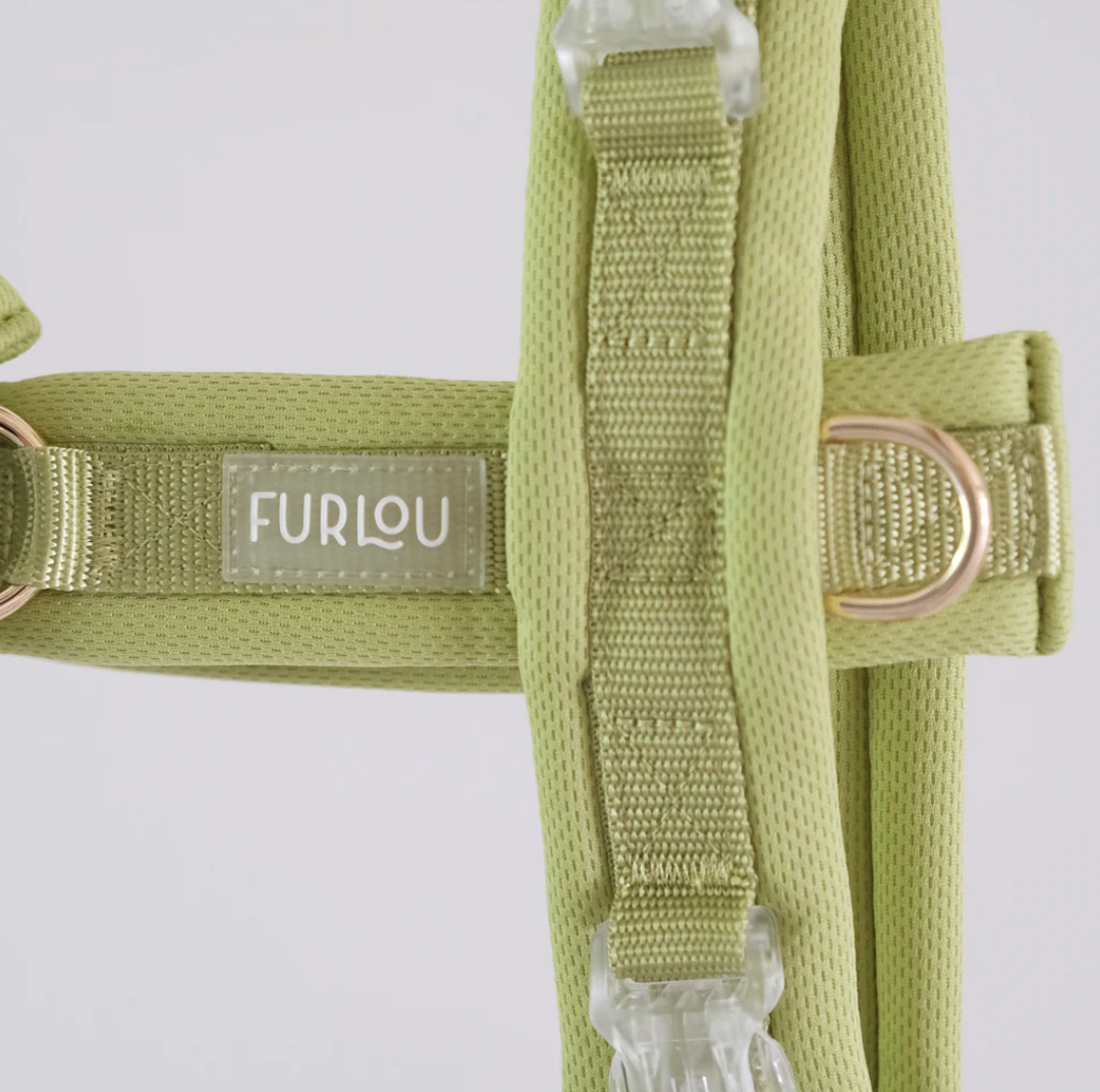 Lime Green Comfort Harness| Furlou