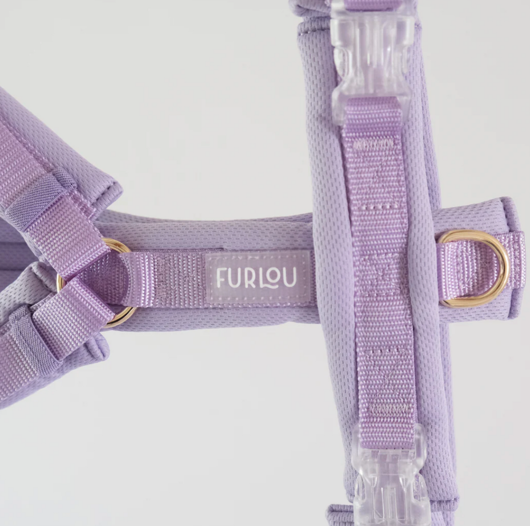 Lavender Comfort Harness| Furlou