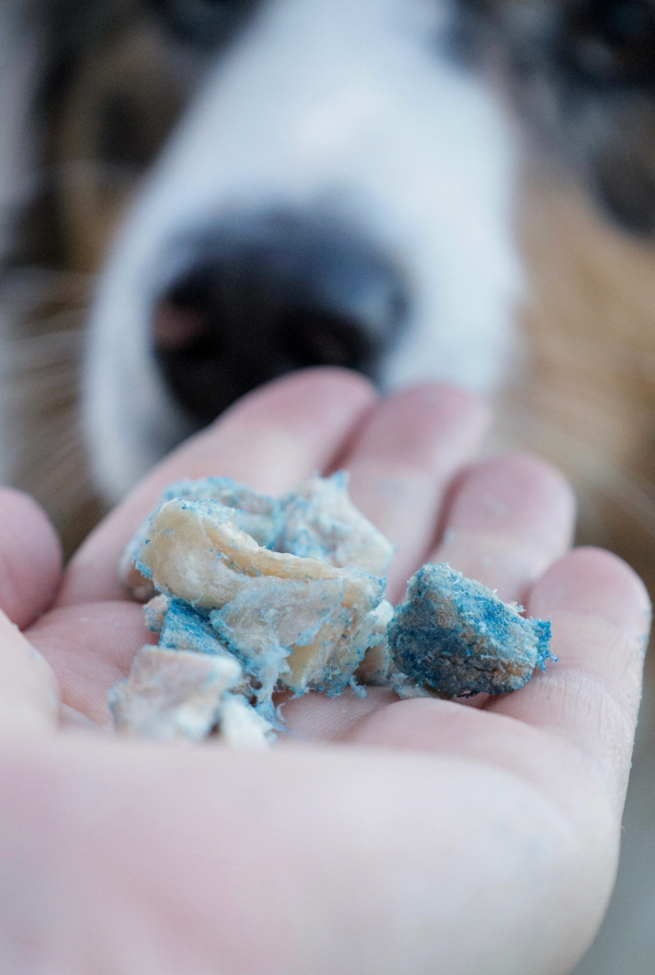 Chicken & Blue Spirulina Treats | Hokuō