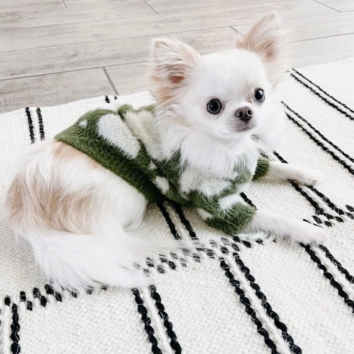 Soft Cloud Sweater | Pups & Bubs