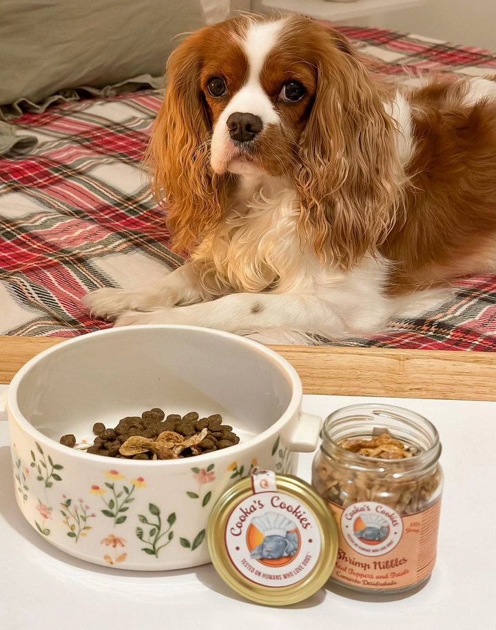 Bottenbouillon | Lila vindt het geweldig