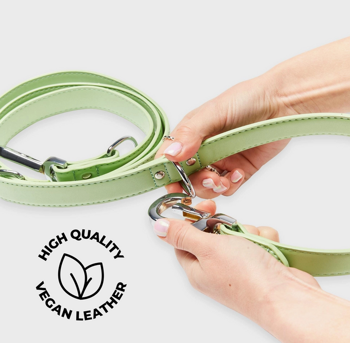 Lush Green Versatile Leash | Barc London