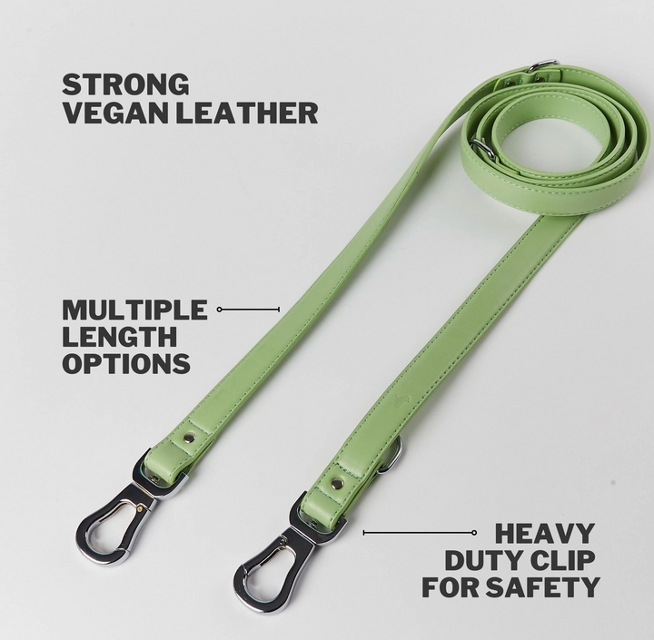 Lush Green Versatile Leash | Barc London