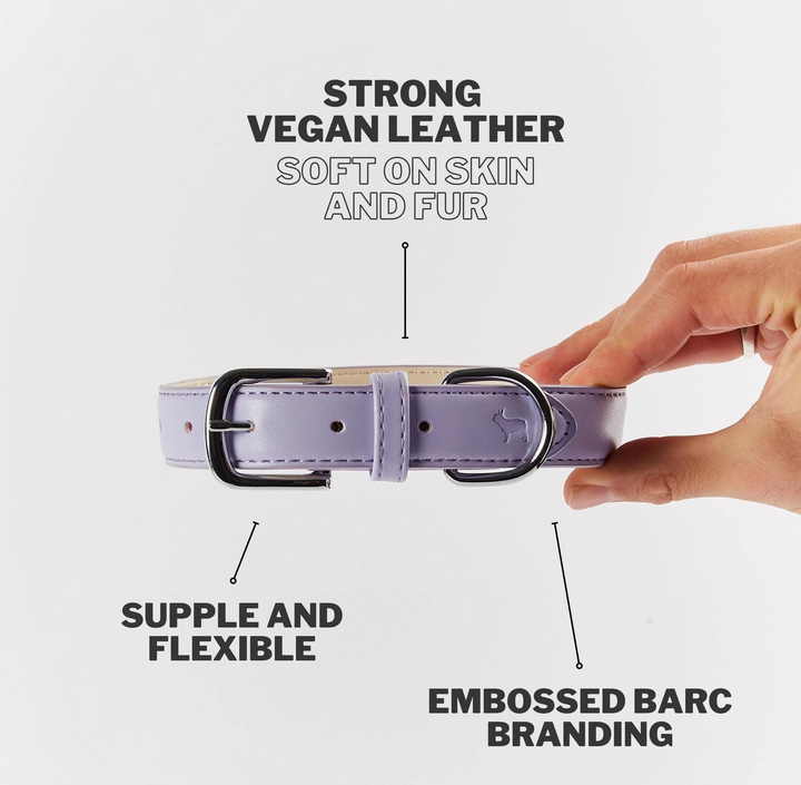 Fresh Lilac Dog Collar | Barc London