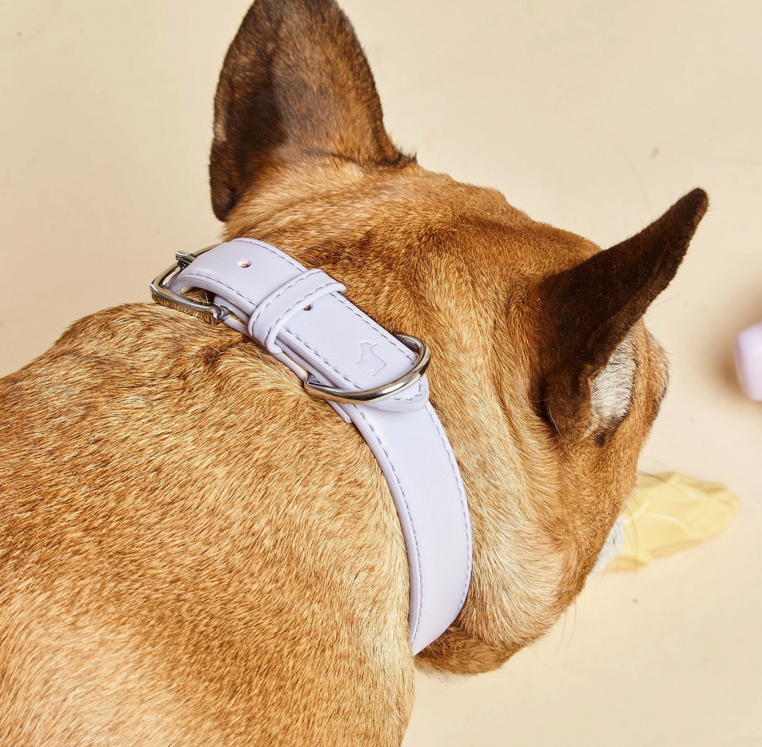 Fresh Lilac Dog Collar | Barc London