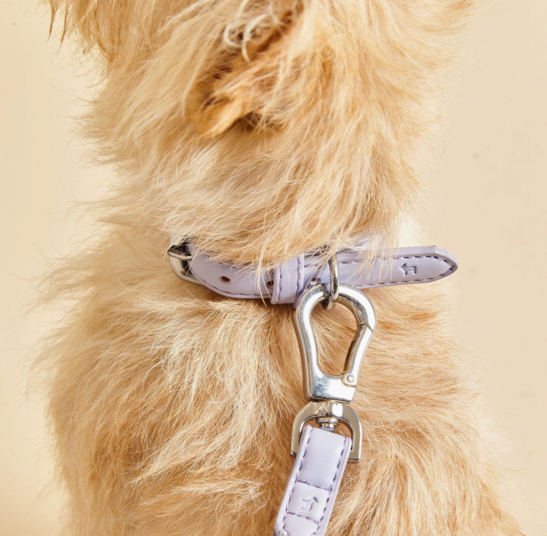 Fresh Lilac Dog Collar | Barc London