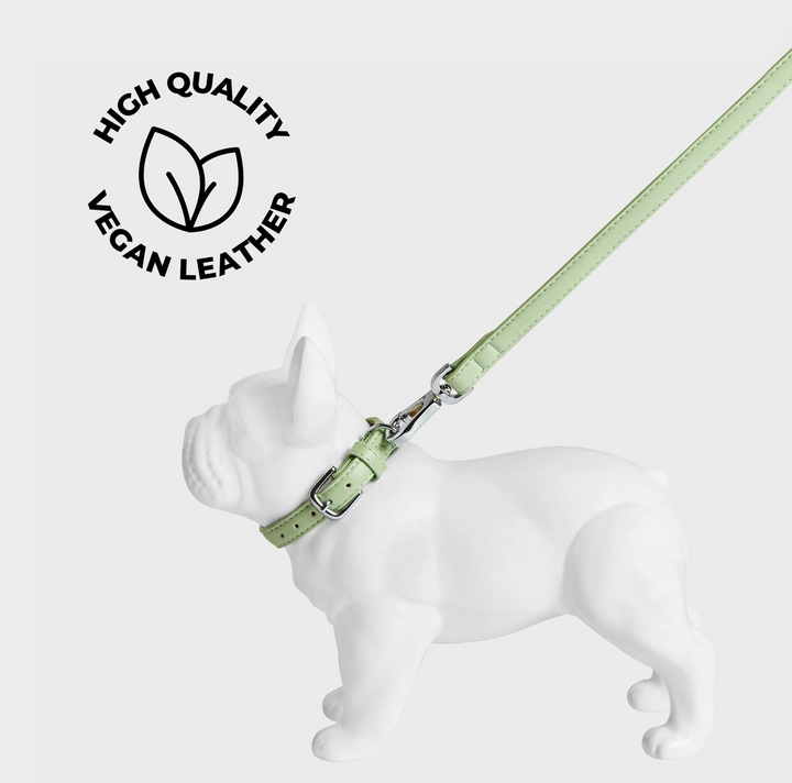 Lush Green Dog Collar | Barc London