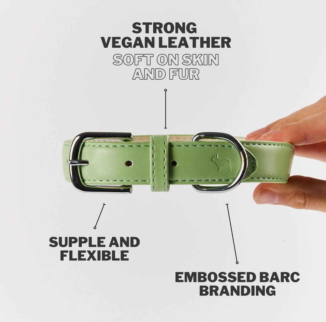 Lush Green Dog Collar | Barc London