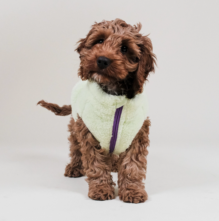 Lime Sherpa Fleece | Barc London