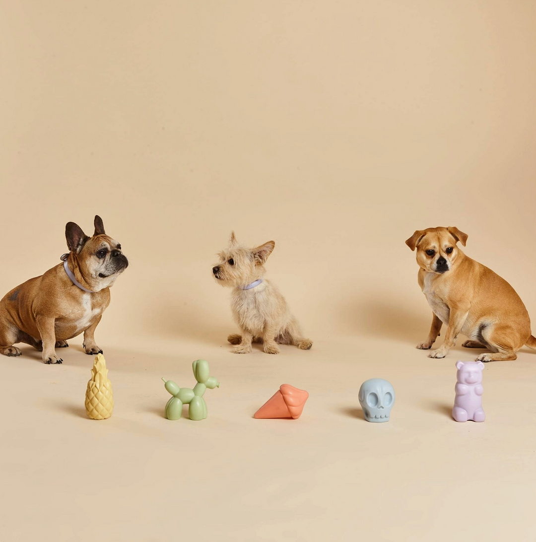 Gummy Squeaky Toy | Barc London