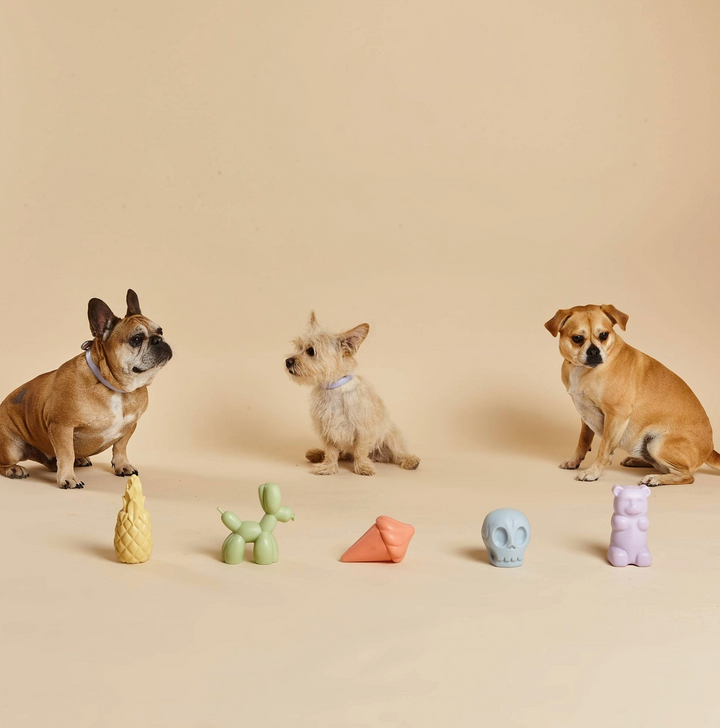 Gummy Squeaky Toy | Barc London